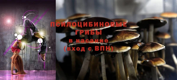 гидропоника Богданович