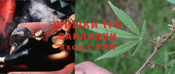 дживик Богородицк