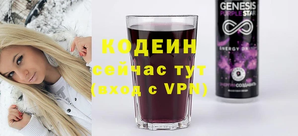 дживик Богородицк