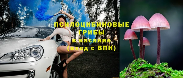 гидропоника Богданович