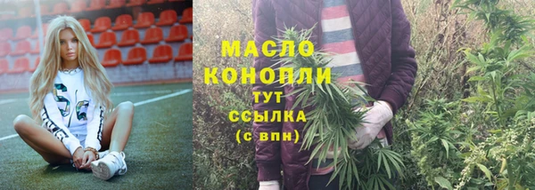 дживик Богородицк