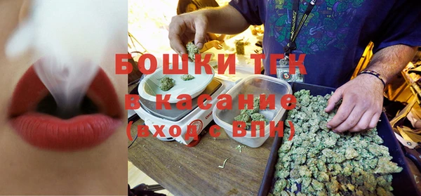 гидропоника Богданович