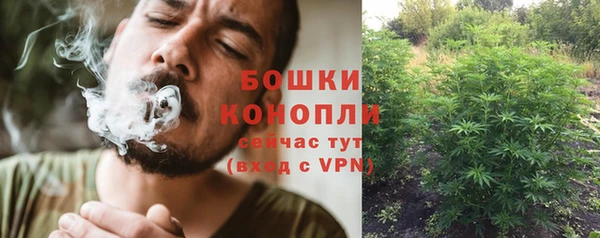 гидропоника Богданович
