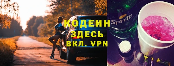 дживик Богородицк