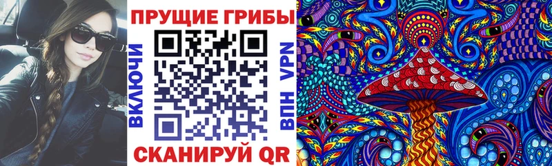 Купить где  Саяногорск  Галлюциногенные грибы Cubensis 